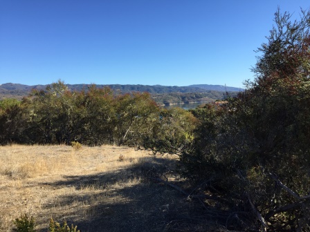 Pad 01 view West.JPG